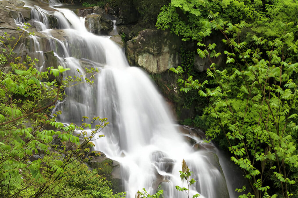 satdhara falls dalhousie